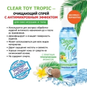 Очищающий спрей для игрушек CLEAR TOY Tropic - 100 мл. - Биоритм - купить с доставкой в Батайске