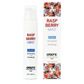 Возбуждающий гель Raspberry Mint с ароматом малины и мяты - 15 мл. - Exsens - купить с доставкой в Батайске