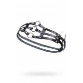 Черный кожаный пояс с кольцами - Pecado - купить с доставкой в Батайске