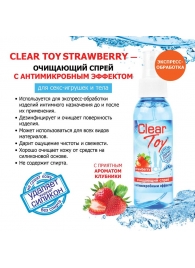 Очищающий спрей для игрушек CLEAR TOY Strawberry - 100 мл. - Биоритм - купить с доставкой в Батайске