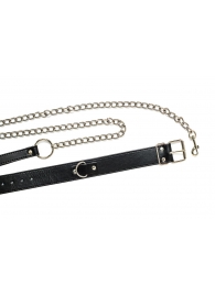 Черный ошейник с поводком Wild - Lola Games - купить с доставкой в Батайске