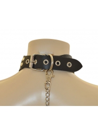 Ошейник  Веселый Роджер - Sitabella - купить с доставкой в Батайске