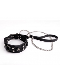 Ошейник  Веселый Роджер - Sitabella - купить с доставкой в Батайске