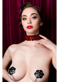 Красный ошейник из лакированного материала - ToyFa - купить с доставкой в Батайске