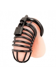 Черная металлическая клетка с замком Deluxe Chastity Cage - BlueLine - купить с доставкой в Батайске