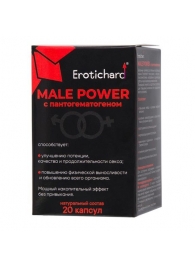 Капсулы для мужчин Erotichard male power с пантогематогеном - 20 капсул (0,370 гр.) - Erotic Hard - купить с доставкой в Батайске
