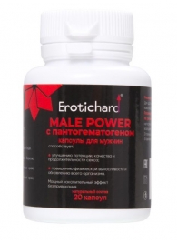 Капсулы для мужчин Erotichard male power с пантогематогеном - 20 капсул (0,370 гр.) - Erotic Hard - купить с доставкой в Батайске