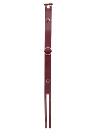 Бордовый ремень Halo Waist Belt - размер L-XL - Shots Media BV - купить с доставкой в Батайске