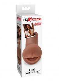 Мастурбатор-ротик Coed Cocksucker - Pipedream - в Батайске купить с доставкой