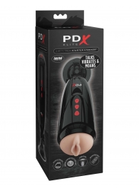 Мастурбатор-вагина с вибрацией Dirty Talk Starter Stroker - Pipedream - в Батайске купить с доставкой