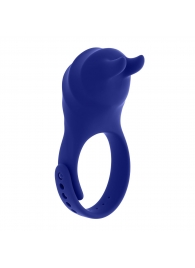 Синее эрекционное виброкольцо с клиторальной подушечкой и пультом ДУ Adjustable Fun Ring - Zero Tolerance - в Батайске купить с доставкой