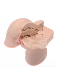 Мастурбатор-полуторс Naked Factory Kate - Naked Factory - в Батайске купить с доставкой