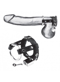 Утяжка на пенис на замочке Duo Cock And Ball Lock - BlueLine - купить с доставкой в Батайске