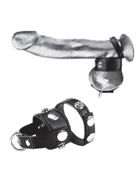 Утяжка для мошонки и пениса Cock Ring With 1  Ball Stretcher And Optional Weight Ring - BlueLine - купить с доставкой в Батайске