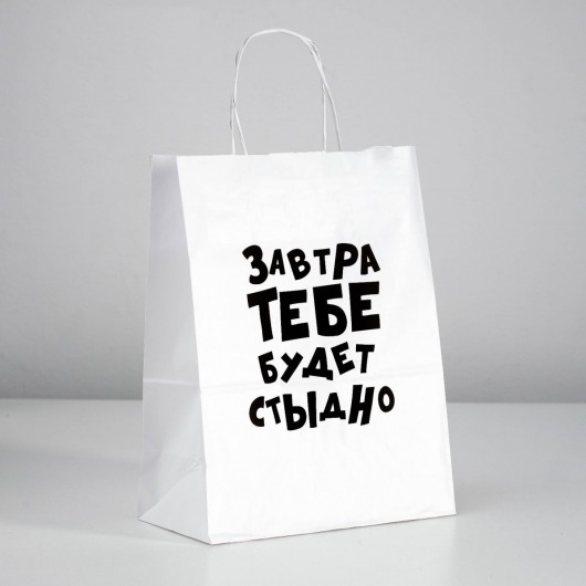 Подарочный пакет  Завтра тебе будет стыдно  - 30 х 24 см. - UPAK LAND - купить с доставкой в Батайске