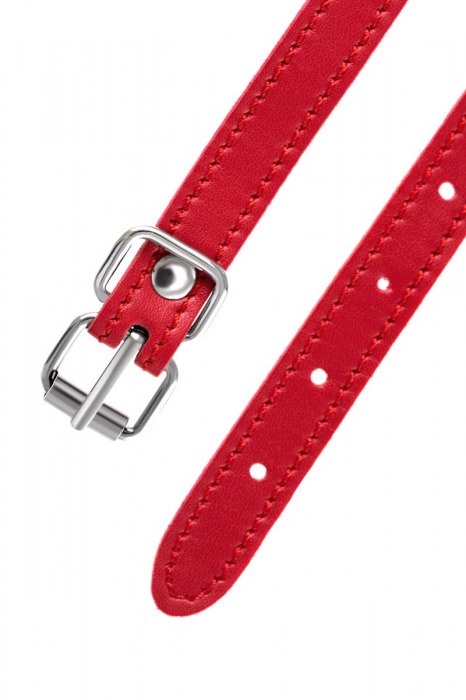 Красная маска Anonymo из искусственной кожи - ToyFa - купить с доставкой в Батайске