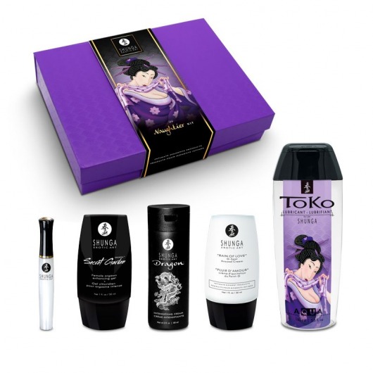 Подарочный набор Naughter Kit - Shunga - купить с доставкой в Батайске
