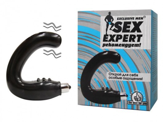 Чёрный массажёр простаты серии Sex Expert - Sex Expert - в Батайске купить с доставкой