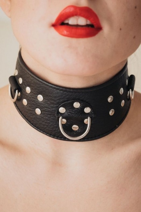Кожаный ошейник для эротических игр - БДСМ Арсенал - купить с доставкой в Батайске