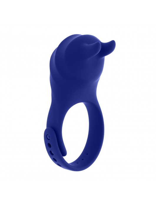 Синее эрекционное виброкольцо с клиторальной подушечкой и пультом ДУ Adjustable Fun Ring - Zero Tolerance - в Батайске купить с доставкой