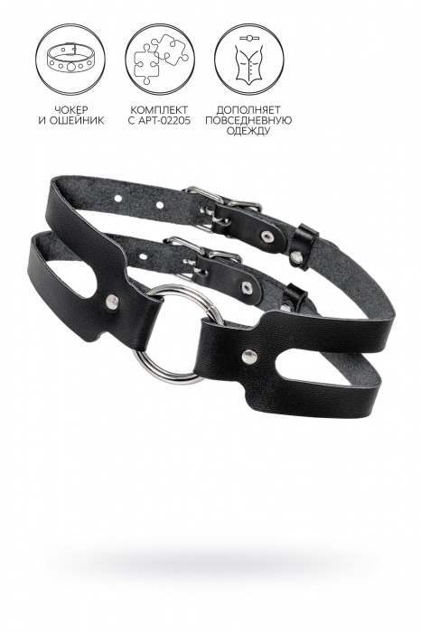 Черный кожаный чокер-ошейник из двух ремешков - Pecado - купить с доставкой в Батайске