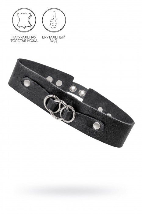 Черный чокер-ошейник со связанными кольцами на подложке - Pecado - купить с доставкой в Батайске