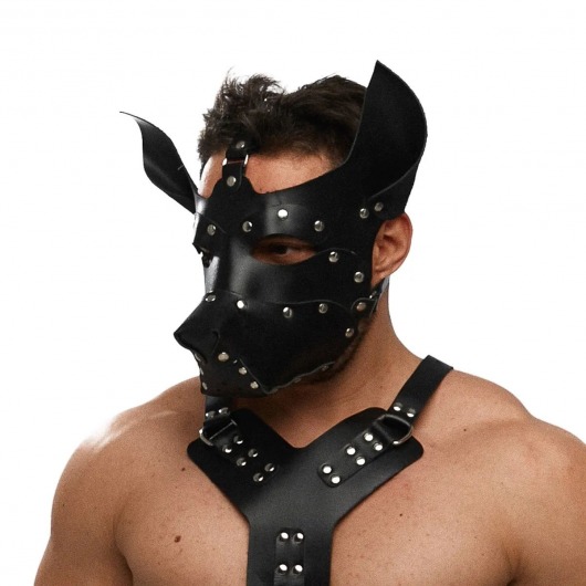 Черная кожаная маска «Собака» - Crazy Handmade - купить с доставкой в Батайске