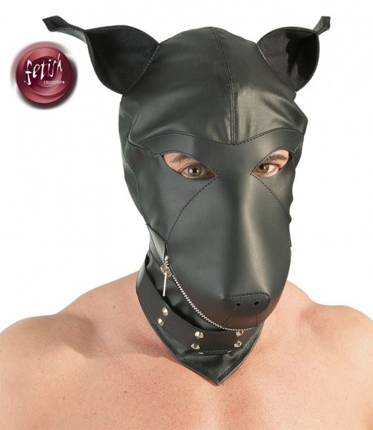 Шлем-маска Dog Mask в виде морды собаки - Orion - купить с доставкой в Батайске