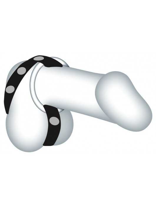 Подхват для мошонки с 3 съемными эрекционными кольцами Leder-Riemen - Orion - в Батайске купить с доставкой