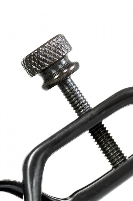 Черно-золотистые зажимы для сосков TOYFA Theatre - ToyFa - купить с доставкой в Батайске