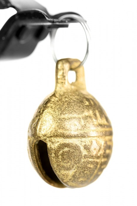 Черно-золотистые зажимы для сосков TOYFA Theatre - ToyFa - купить с доставкой в Батайске