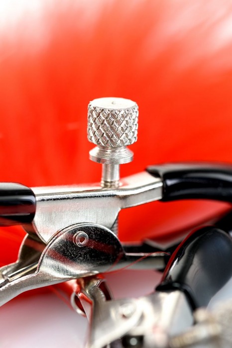 Зажимы для сосков с красным пухом Theatre - ToyFa - купить с доставкой в Батайске